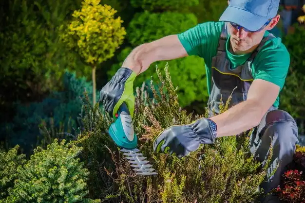 landscaping services Brooklyn Heights